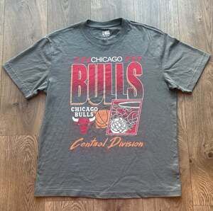 NBA Chicago Bulls Central Division Graphic T-Shirt Gray Medium